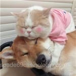 Avatar de Inés Cazares